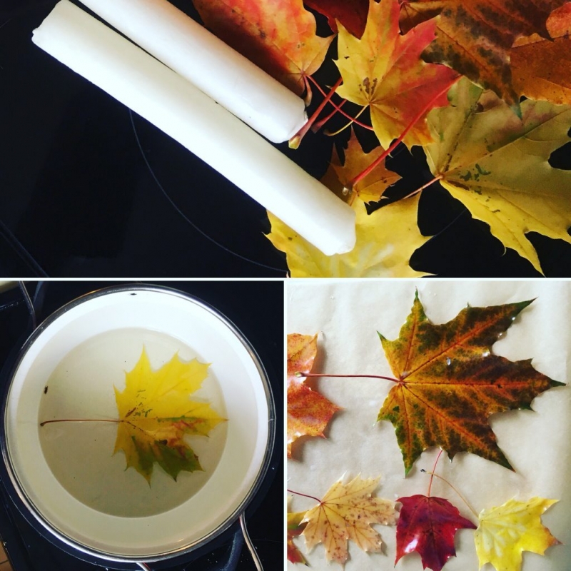 Сохраняя осень: поделки из листьев - «Отцы и дети»