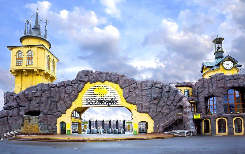 Первый в мире памятник Курочке Рябе откроют в Московском зоопарке - «Я и Дети»