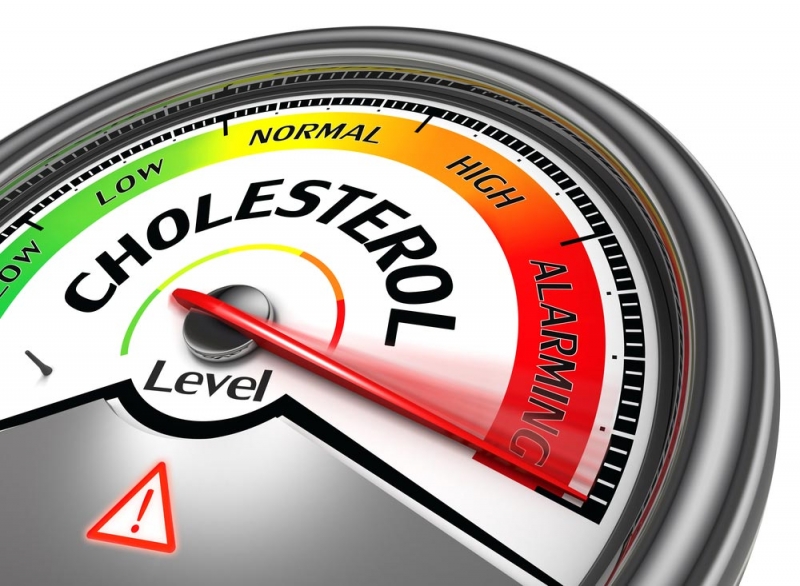 Холестерин не виноват! О чем молчали американские ученые - «Красота и здоровье»