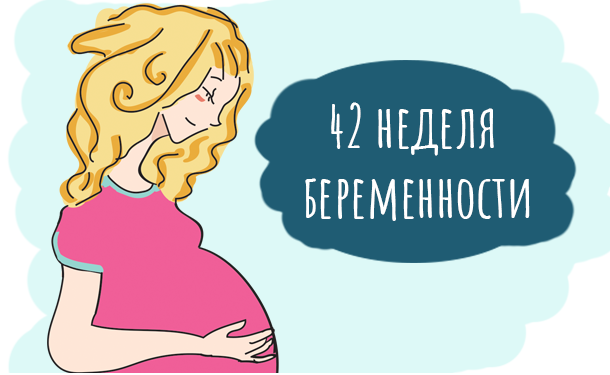 42 неделя беременности - «Беременность»