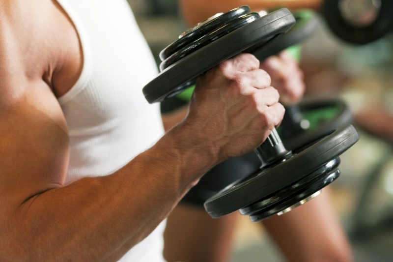 Мышцы предплечья — часто недооцененная группа в фитнес-тренировке - «Я и Здоровье»