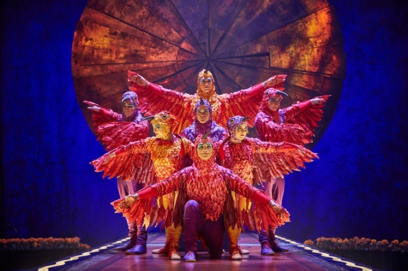 Мечты о Мексике: невероятное шоу Цирка дю Солей приедет в Россию - «Домашние Питомцы»