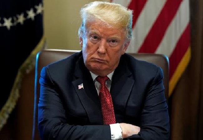 За свой счет! Дональд Трамп отказался оплачивать охрану Меган Маркл и принца Гарри - «Домашние Питомцы»