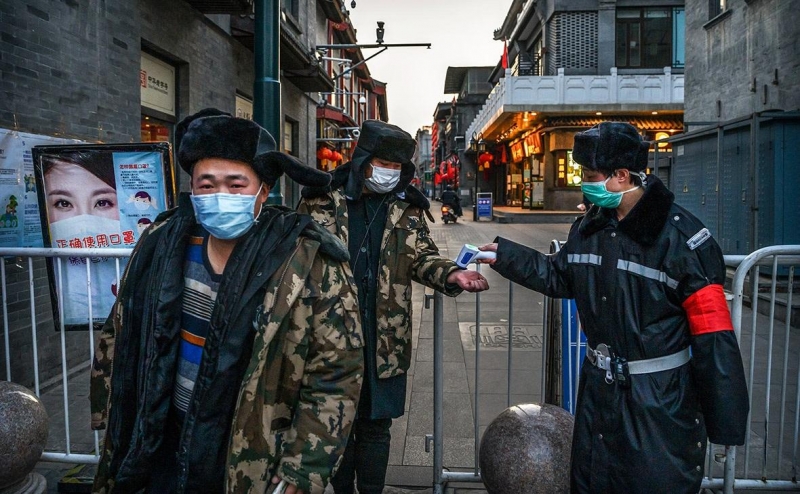Китайские медики определили срок победы над коронавирусом - «Домашние Питомцы»