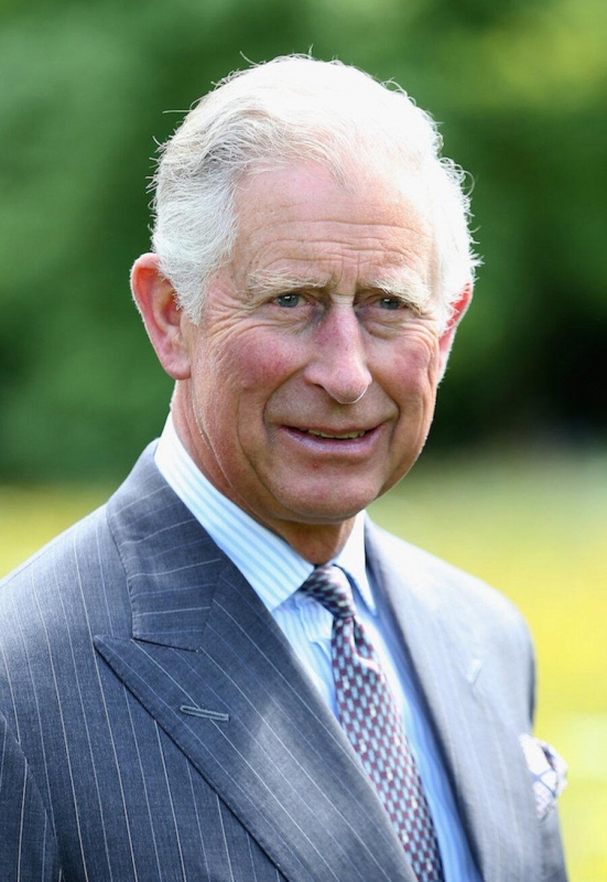 Принц Чарльз заразился коронавирусом - «Я и Отдых»