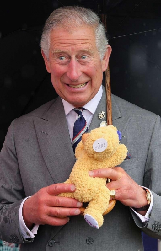 71-летний принц Чарльз вылечился от коронавируса - «Домашние Питомцы»