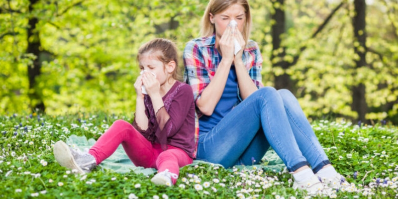 Как дать отпор несносной аллергии? - «Здоровье»
