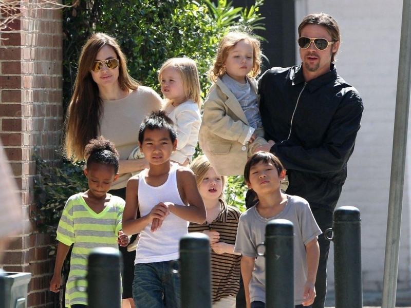 Анджелина Джоли и Брэд Питт хотят отдать детей в самую обычную школу - «Домашние Питомцы»