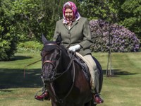 94-летняя королева Елизавета катается на пони в Виндзоре - «Я как Звезда»