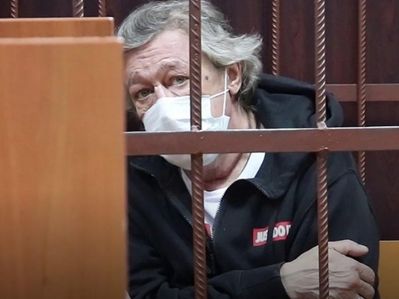 Адвокат Михаила Ефремова сообщил стратегию поведения актера в суде - «Домашние Питомцы»