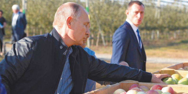 Путин предсказал миру продовольственный кризис - «Бизнес»